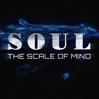 SOUL (Gimmicks and Online Instructions) by Wenzi - Trick